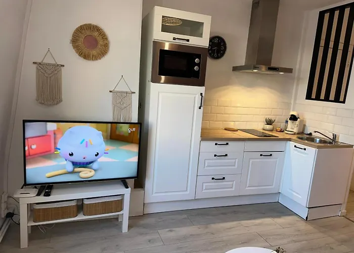 Appartement Cocon - Hyper Centre - Tram - Free Wifi - Lerelaisdodile24 Valenciennes