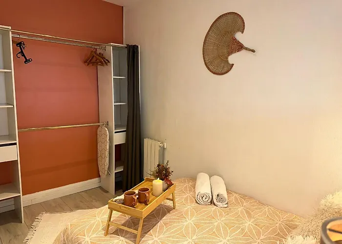 Appartement Cocon - Hyper Centre - Tram - Free Wifi - Lerelaisdodile24