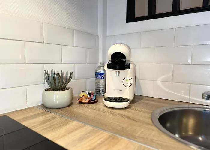 Appartement Cocon - Hyper Centre - Tram - Free Wifi - Lerelaisdodile24