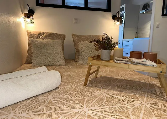 Cocon - Hyper Centre - Tram - Free Wifi - Lerelaisdodile24